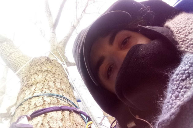 Bradley In The Tree. Picture: Extinction Rebellion Wandsworth